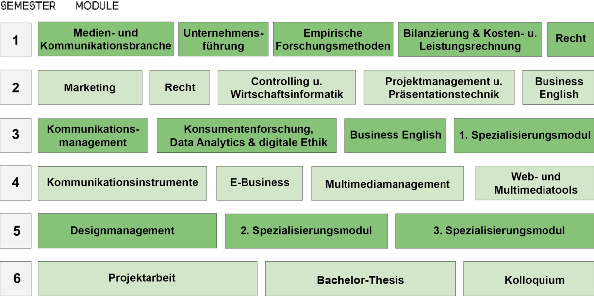 Studienverlaufsplan_Grün